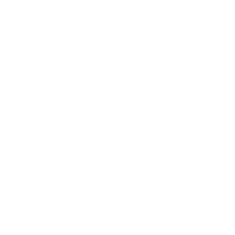 Digital Shark Studio