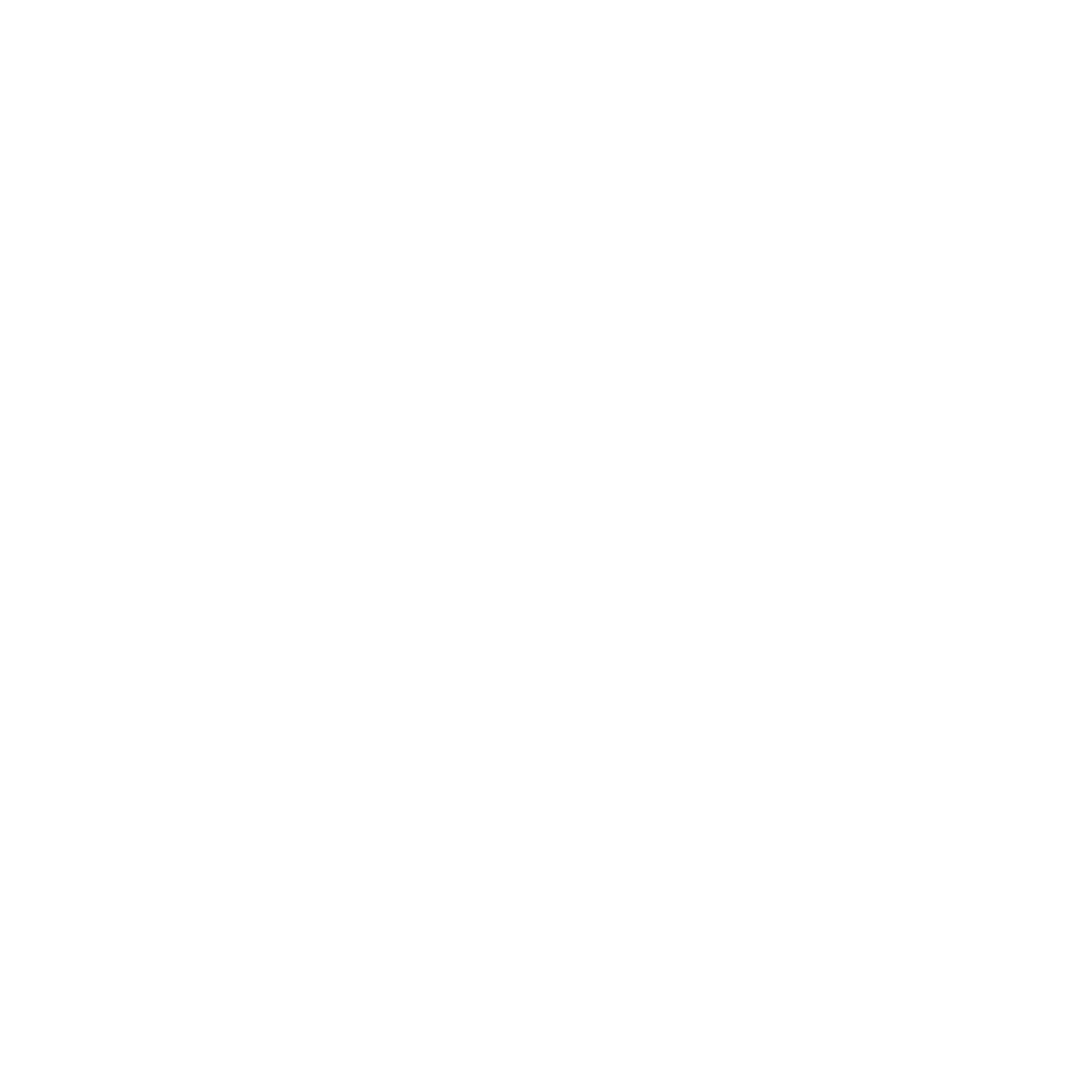 Digital Shark Studio